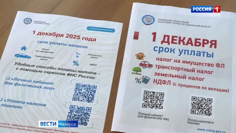 В Тамбовской области работают мобильные налоговые офисы
