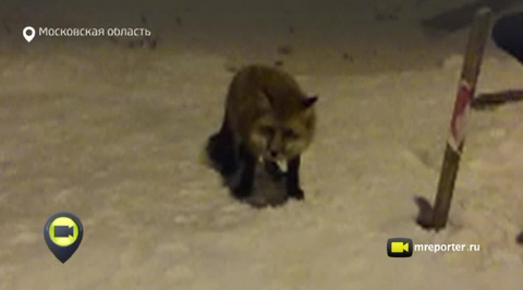 Эфир от 24.12.2014