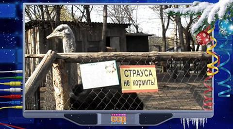 Эфир от 28.12.2014