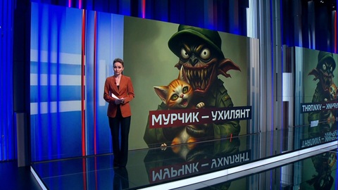 История с котом-уклонистом стала отражением судьбы сегодняшних украинцев
