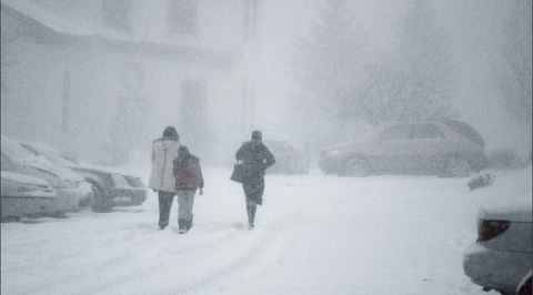 В Подмосковье в субботу ожидается ураганный ветер