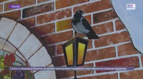 Художник из Реутова разрисовал подъезд картинами