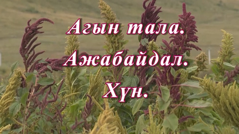 «Агын тала. Ажабайдал. ХYн». Передача о реализации грантов ТОСов