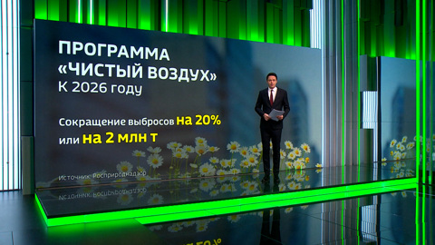 Глава Росприроднадзора доложила Путину о реализации экологических проектов