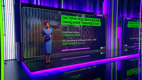 ФТС усиливает проверки и запускает систему СПОТ