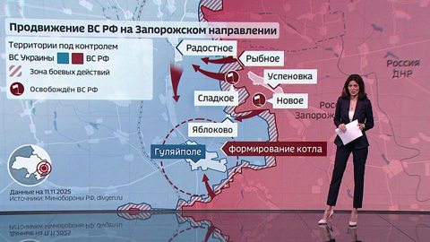 Отгулявшее поле