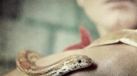 История отравления