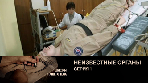 Неизвестные органы. Гипоталамус. Гипофиз. Эпифиз