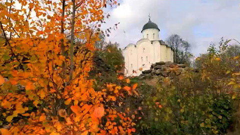 Ленинградская область