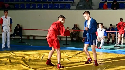 Всероссийский день самбо отметили соревнованиями в Марий Эл