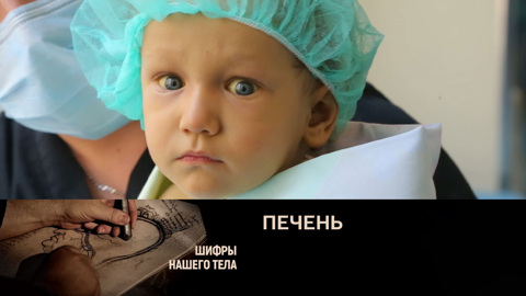Печень