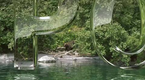 Камчатка - Кулильское озеро