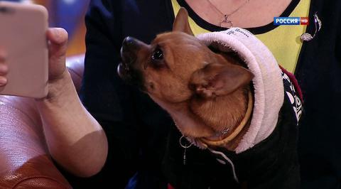Эфир от 07.06.2015