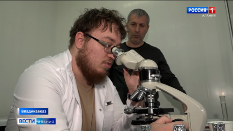 Студент аграрного вуза во Владикавказе создает лечебную сметану с повышенным содержанием бактерий