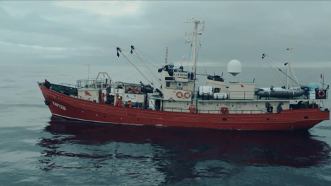 Завершился трехлетний проект по изучению флоры и фауны Белого моря