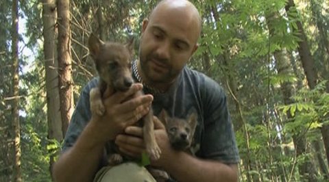 Закон природы. Легко ли быть молодым?