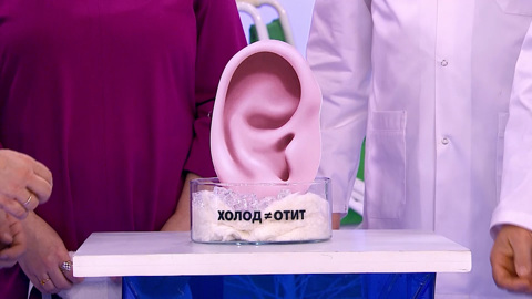 Говяжий язык, отит, боль и тяжесть в желудке. Эфир от 17.12.2025