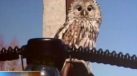 Эфир от 22.10.2011