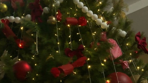 Эфир от 21.12.2025 (14:30)