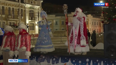 В Тамбове зажгли главную елку города