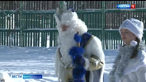 "Полицейский Дед Мороз" ходит в гости к биробиджанцам