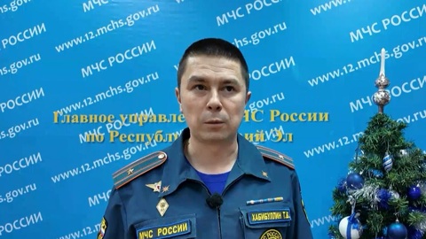 В Медведевском районе дом сгорел дотла из-за неисправного электрооборудования
