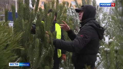 Успеть все: предновогодняя миссия выполнима