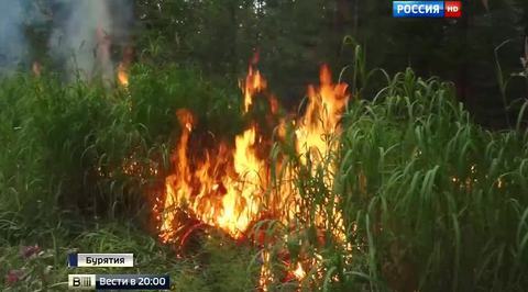 Пучков отвел на тушение Байкала три дня