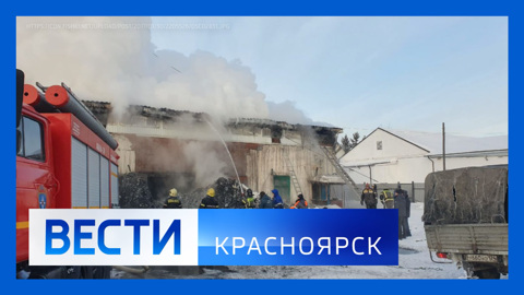 Эфир от 20.01.2026