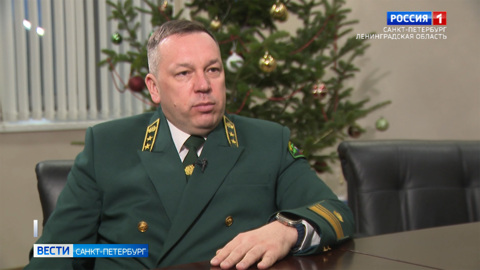 О программе "Чистые леса Ленинградской области": актуальное интервью