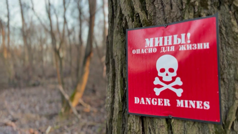 Военные инженеры очищают курское приграничье от последствий боев