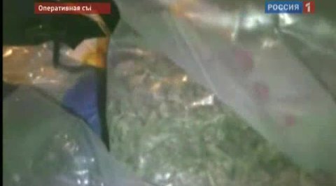 Задержана международная группировка наркоторговцев