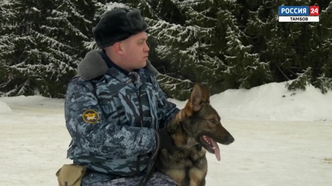 Эфир от 24.01.2026