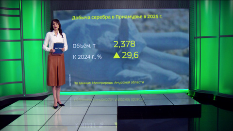 Существенные результаты показала горнодобывающая отрасль Приамурья в прошлом году