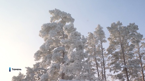 Эфир от 25.01.26