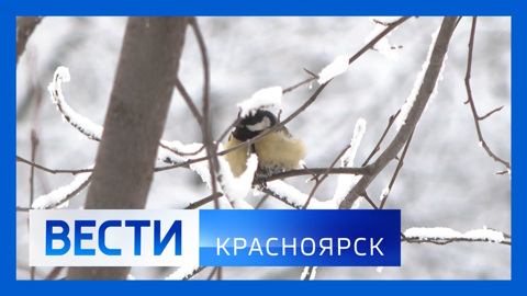 Эфир от 28.01.2026