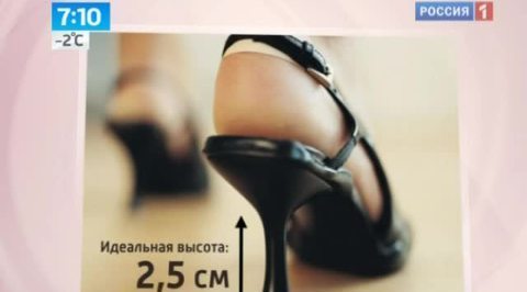Вычислена длина идеального каблука