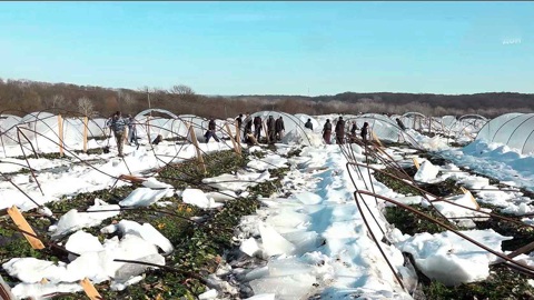 Эфир от 08.02.2026 (08:00)