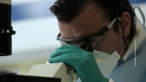 Вскрываются всё новые подробности связей Джеффри Эпштейна с Украиной