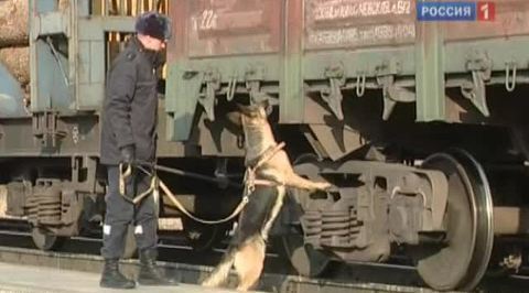 Мусульмане 16.12.2011