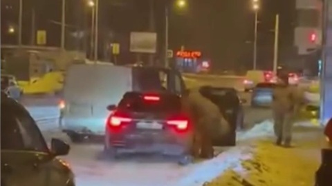 Киев не хочет мира, хотя и запускает слухи о выборах