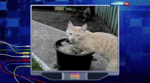 Эфир от 30.08.2015
