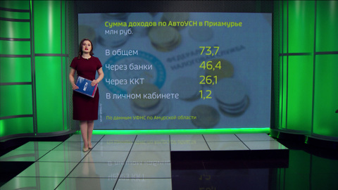 Высокая дисциплина в Приамурье. Бизнес платит налоги