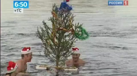 Утро России. Моржи
