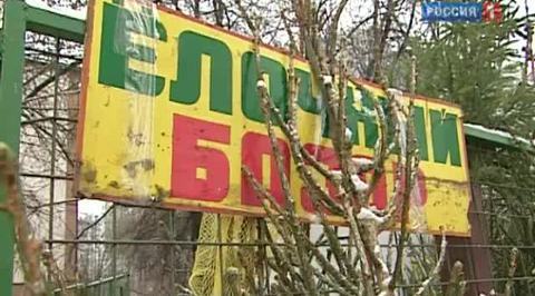Безопасность москвичей в праздники обеспечат 5 тысяч полицейских