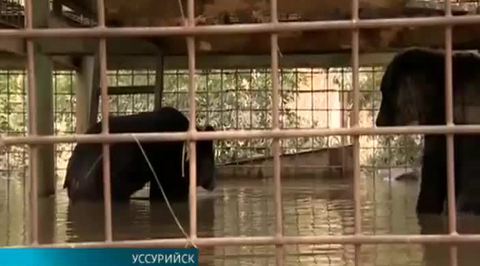 Эфир от 02.09.2015 (15:00) 