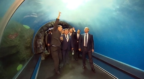 Путин в компании вице-премьера КНР и Стивена Сигала осмотрел океанариум на острове Русский