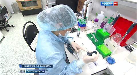 Владимирская область работает на импортоопережение