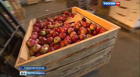 Санкции открыли новые рынки для осетинских фермеров