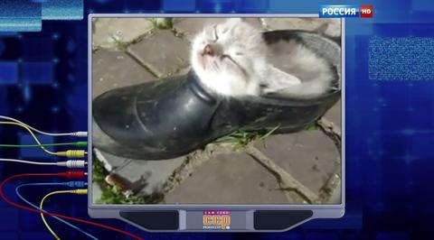 Эфир от 11.10.2015